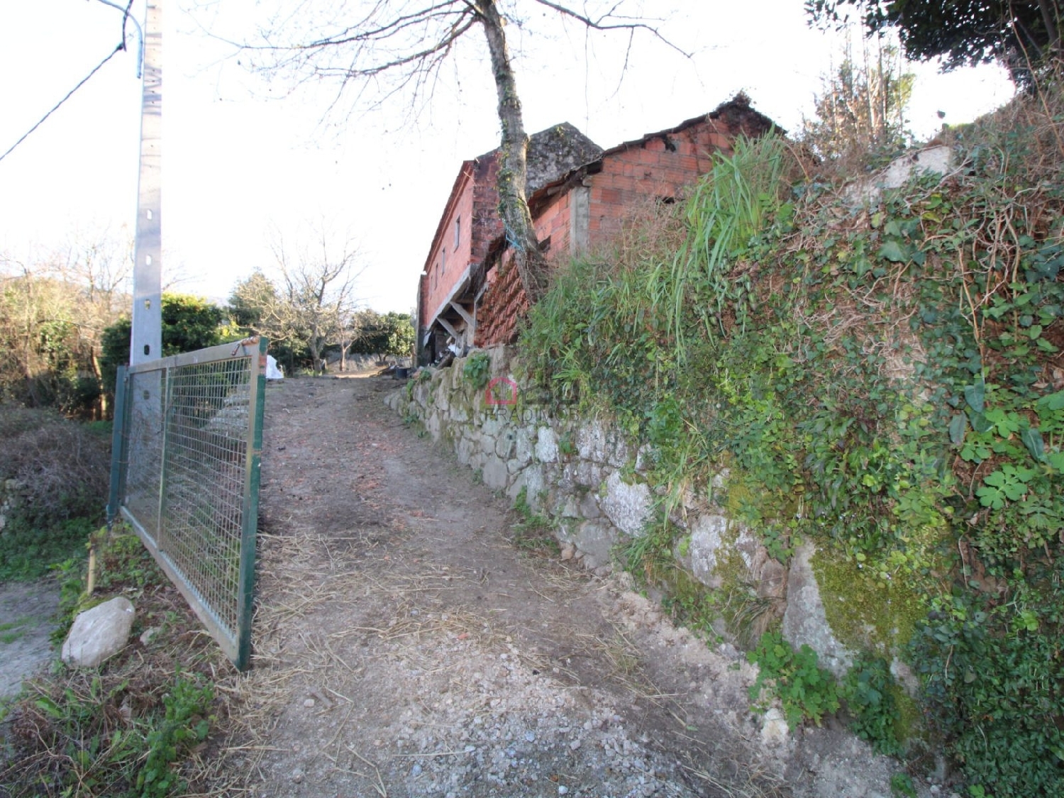 te koop huis Ribeira Castro Daire 2