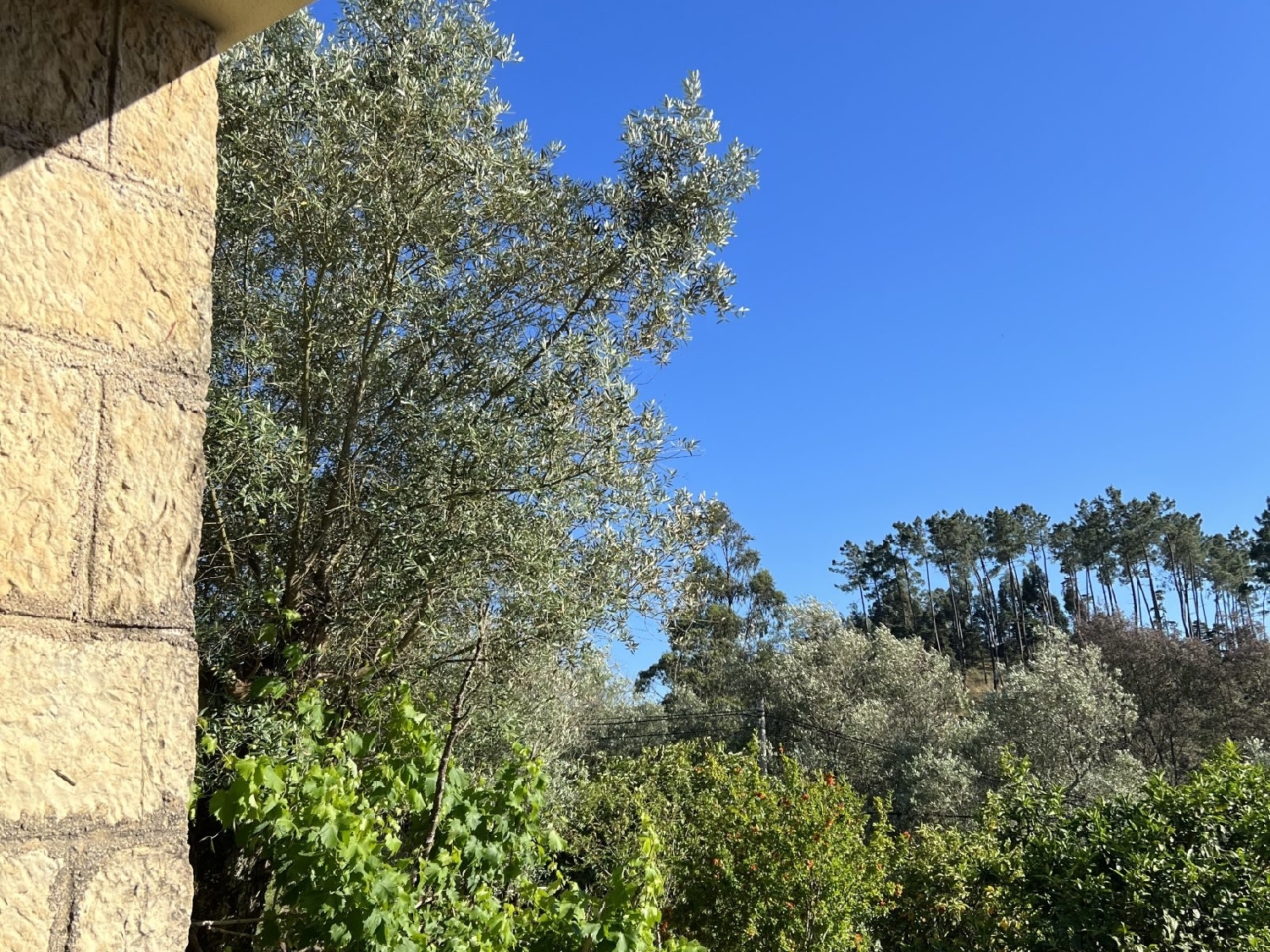 en venta casa Ribeira Coimbra 2