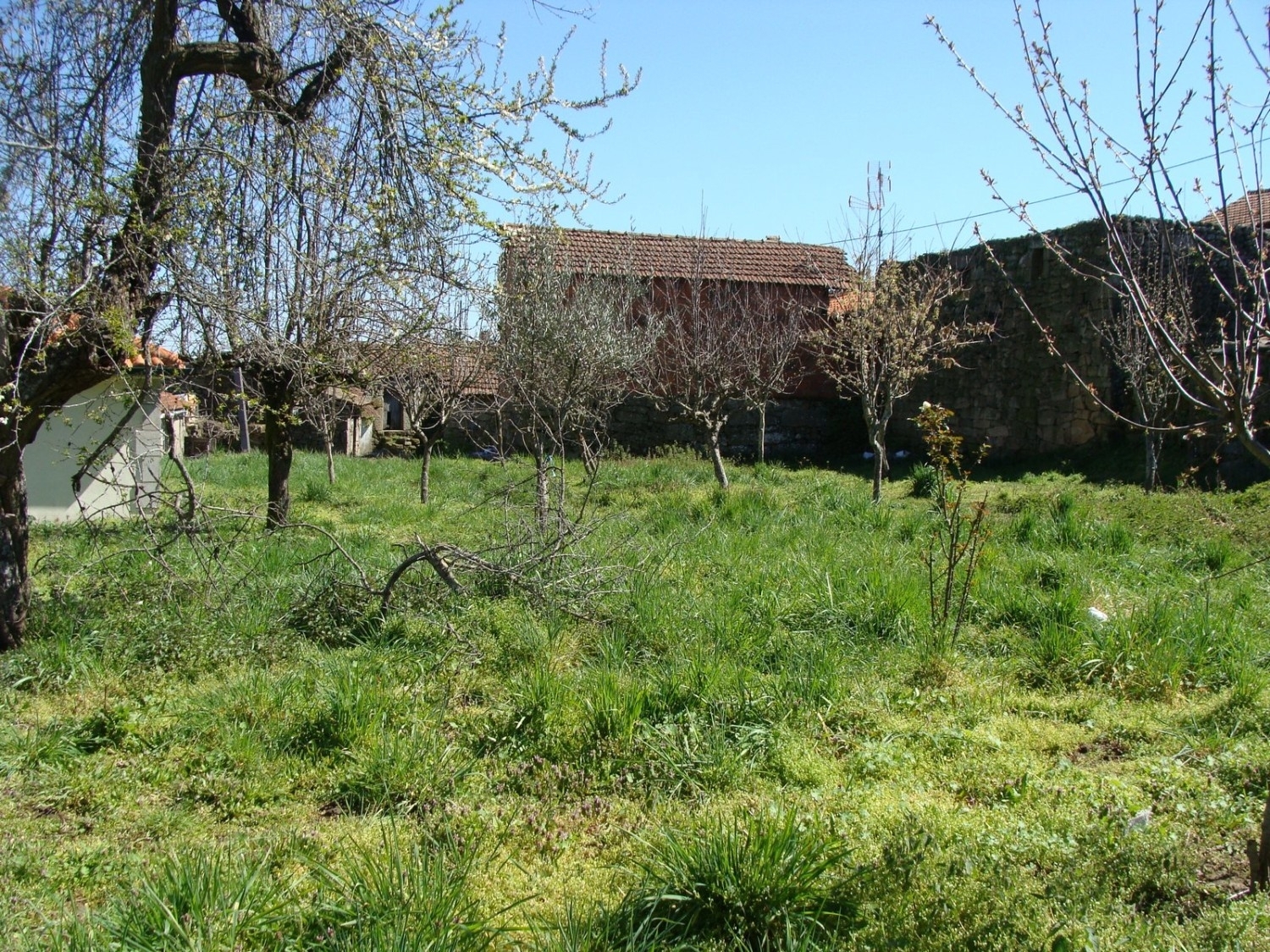  te koop huis Roriz Chaves 5