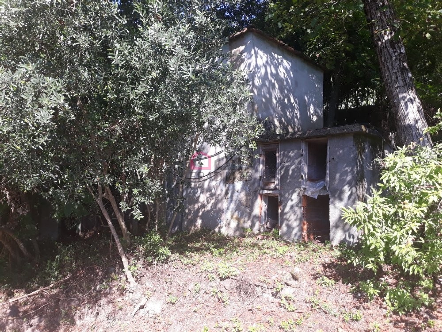 kaufen Haus Santa Cruz Armamar 3