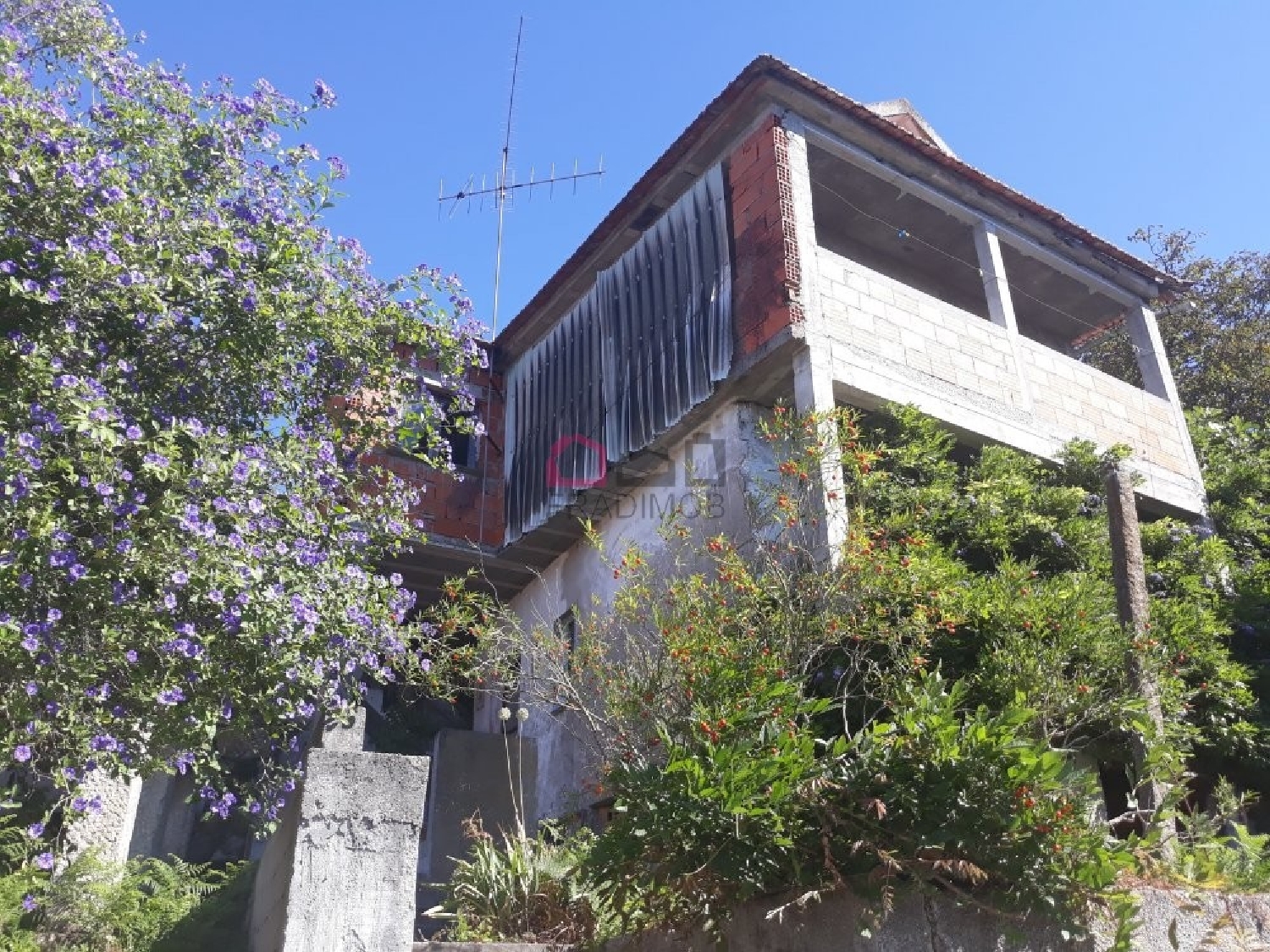  kaufen Haus Santa Cruz Armamar 4