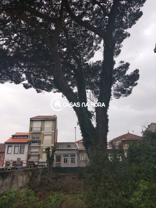 São Mamede de Infesta Matosinhos Haus Bild 336673