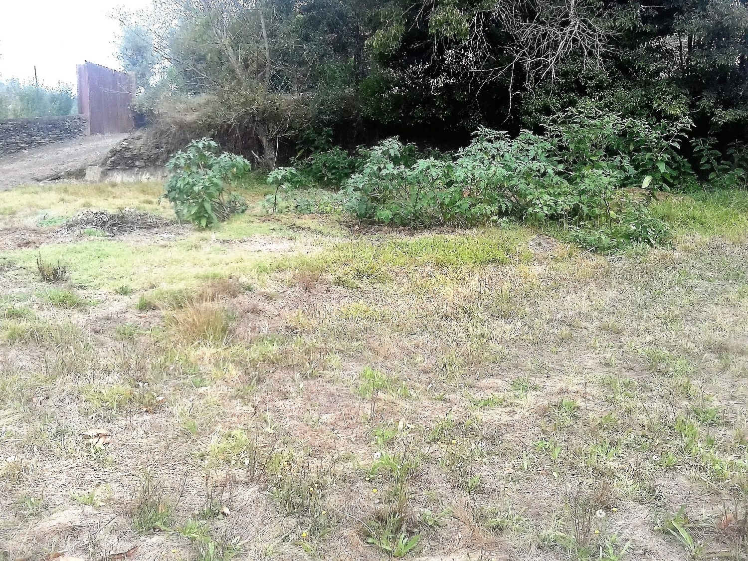  à venda casa Sobreira Paredes 2