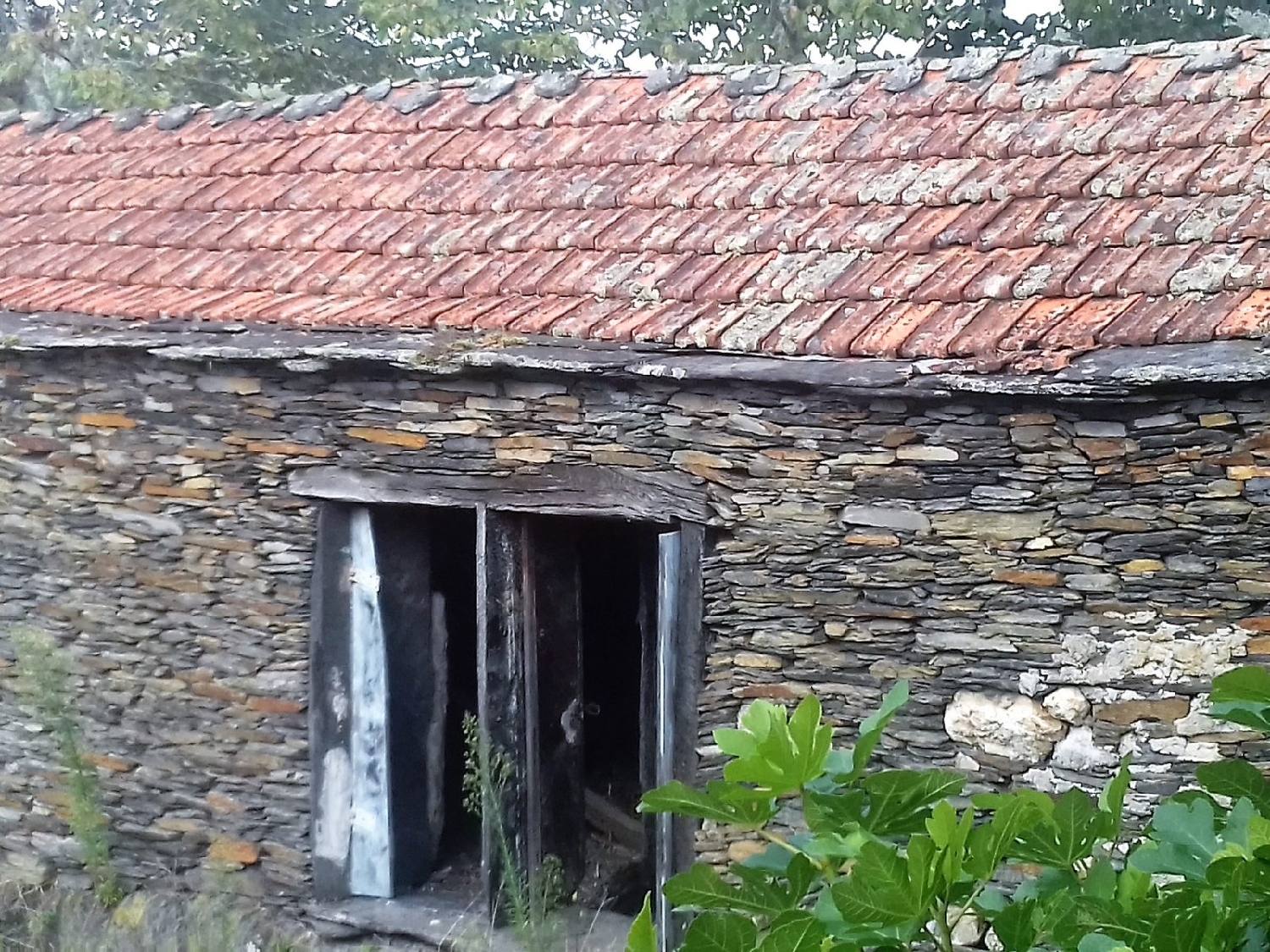  à venda casa Sobreira Paredes 5