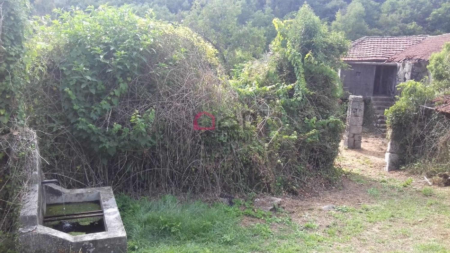 te koop huis Sul São Pedro Do Sul 3