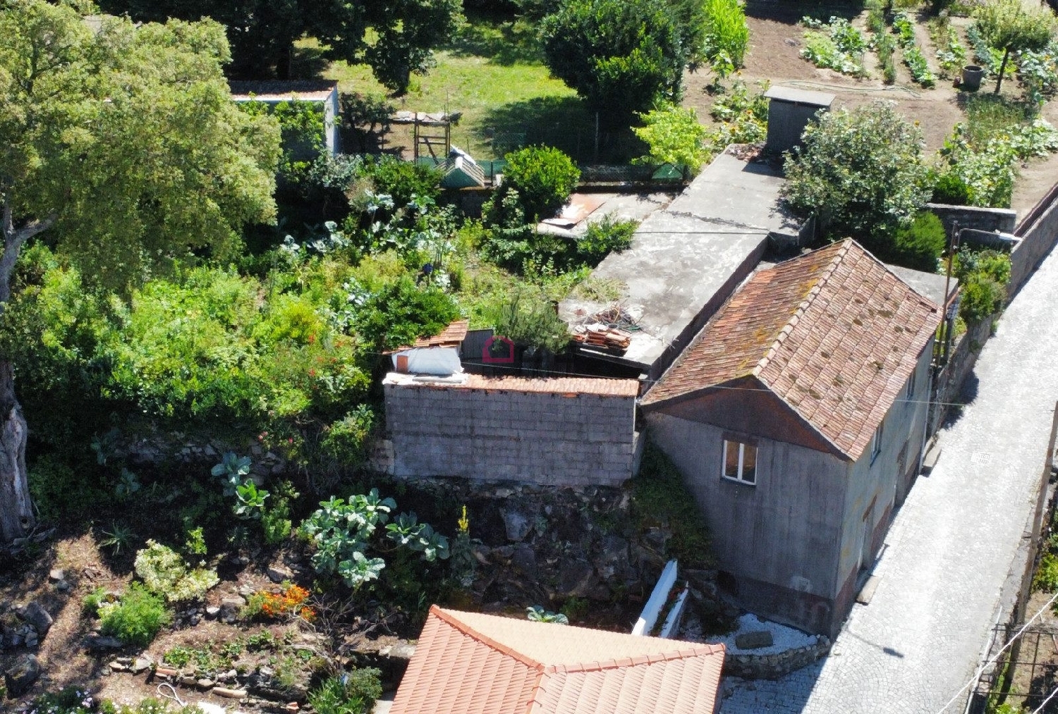  te koop huis Talhadas Sever Do Vouga 4