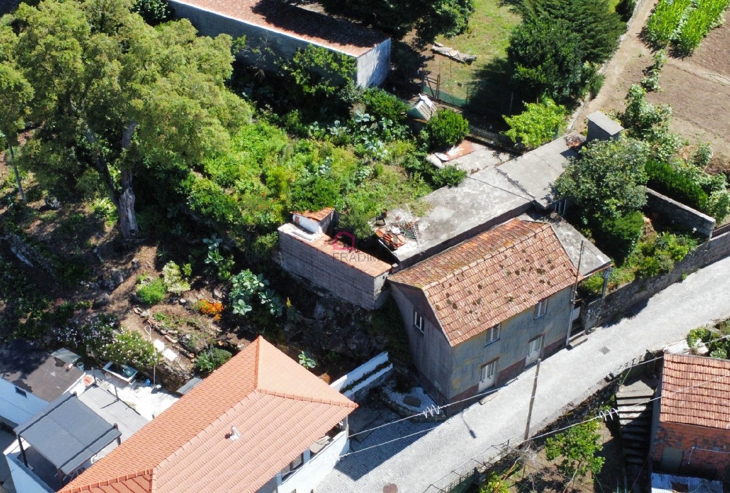  te koop huis Talhadas Sever Do Vouga 5