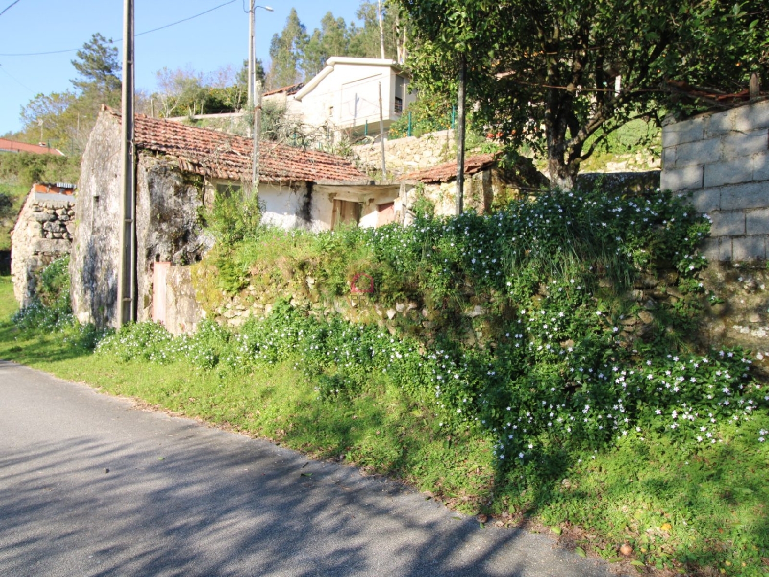 kaufen Haus Valadares São Pedro Do Sul 2