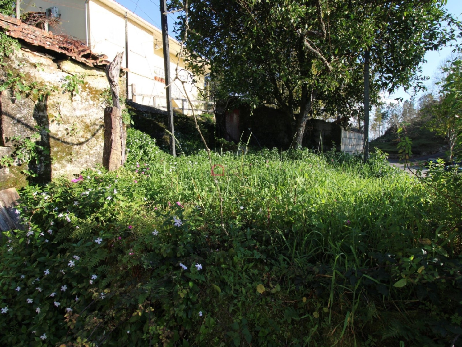 kaufen Haus Valadares São Pedro Do Sul 4