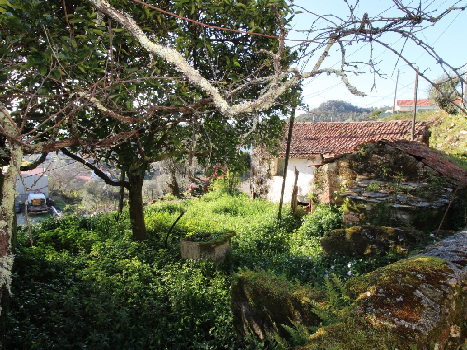  kaufen Haus Valadares São Pedro Do Sul 8