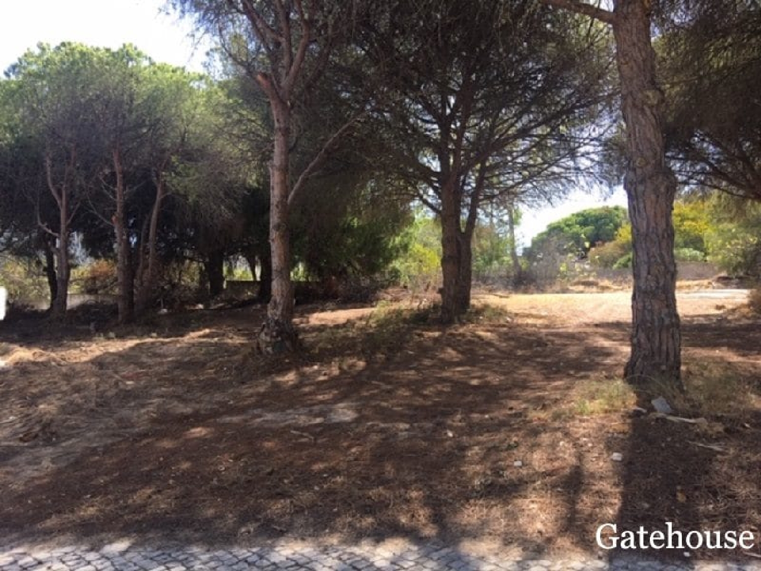  en venta casa Vale do Lobo Tondela 1
