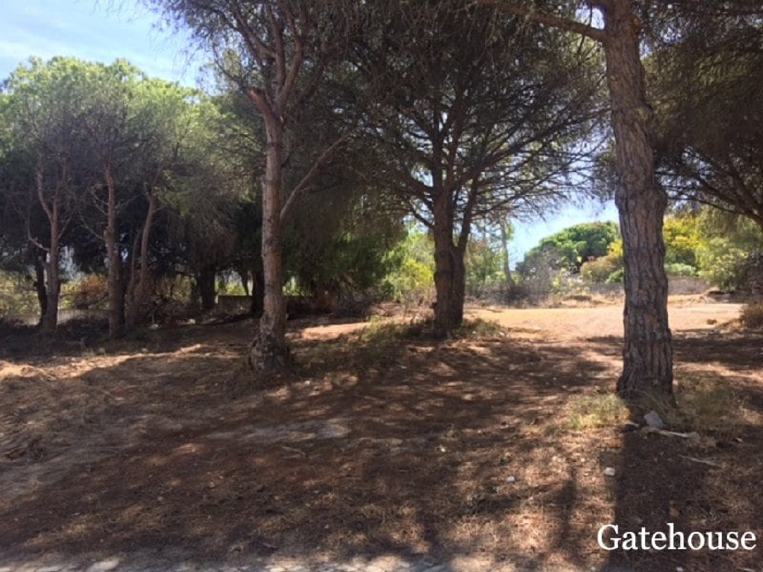 en venta casa Vale do Lobo Tondela 2