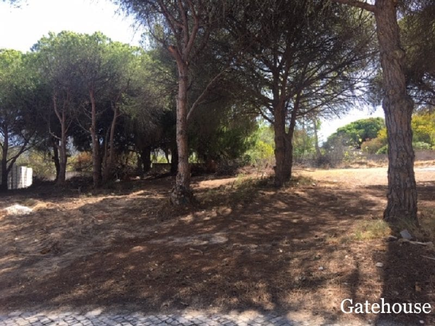 en venta casa Vale do Lobo Tondela 3