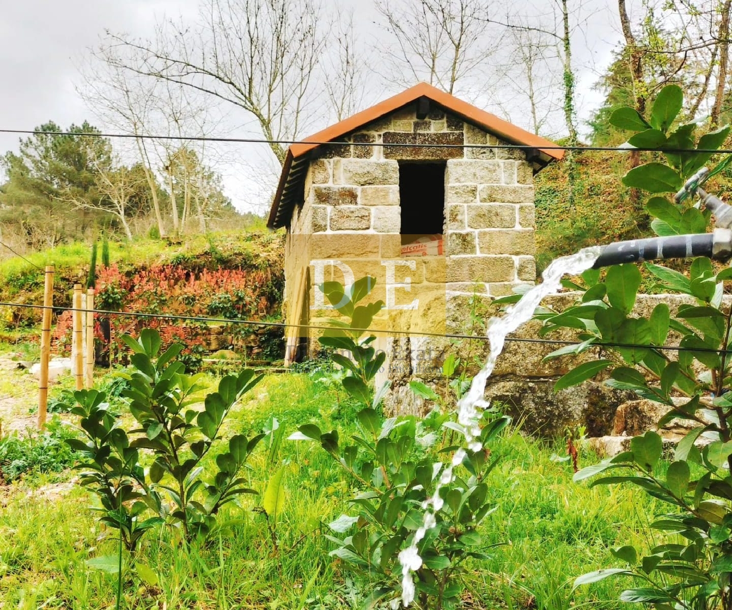  à venda casa Várzea Amarante 3