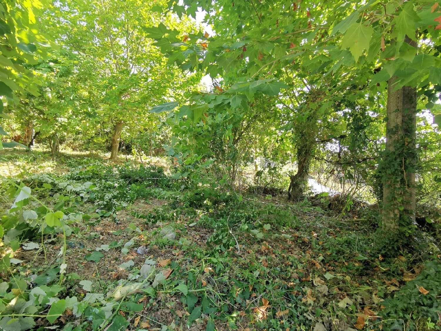  te koop huis Várzea Barcelos 1