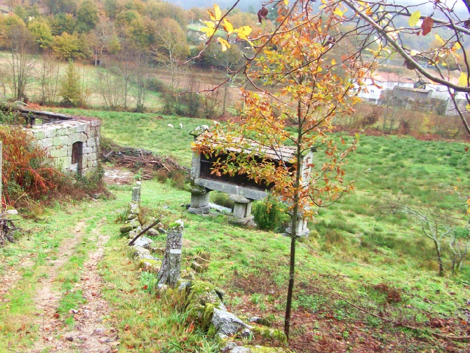  te koop huis Várzea Barcelos 1