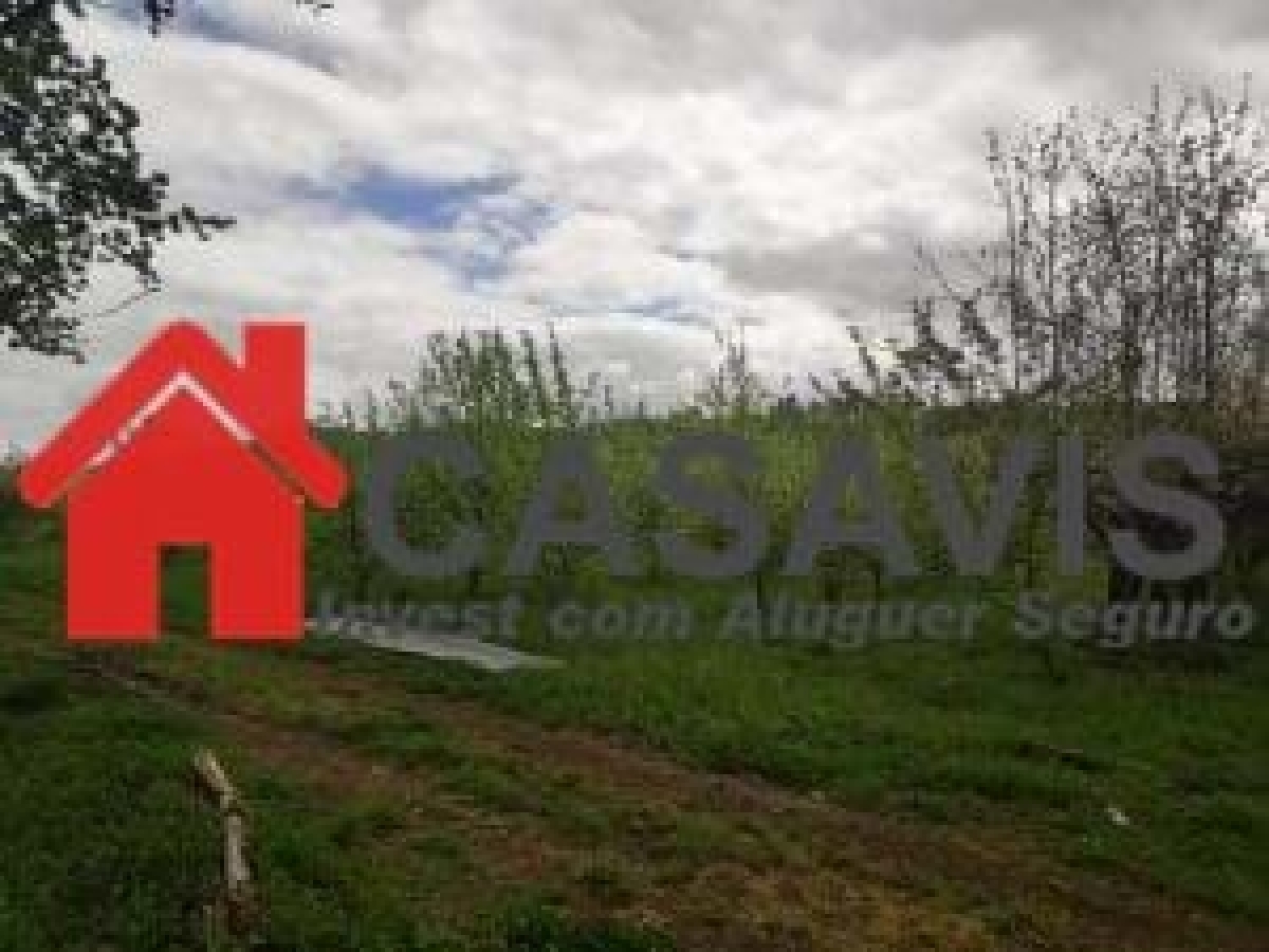  for sale house Viseu Viseu 4
