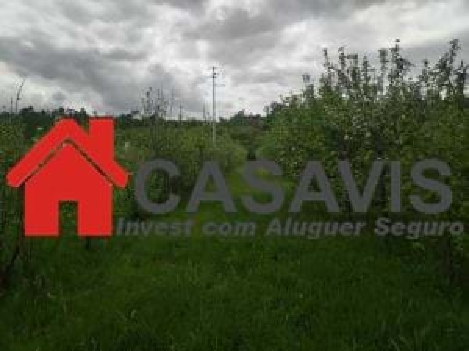  for sale house Viseu Viseu 6