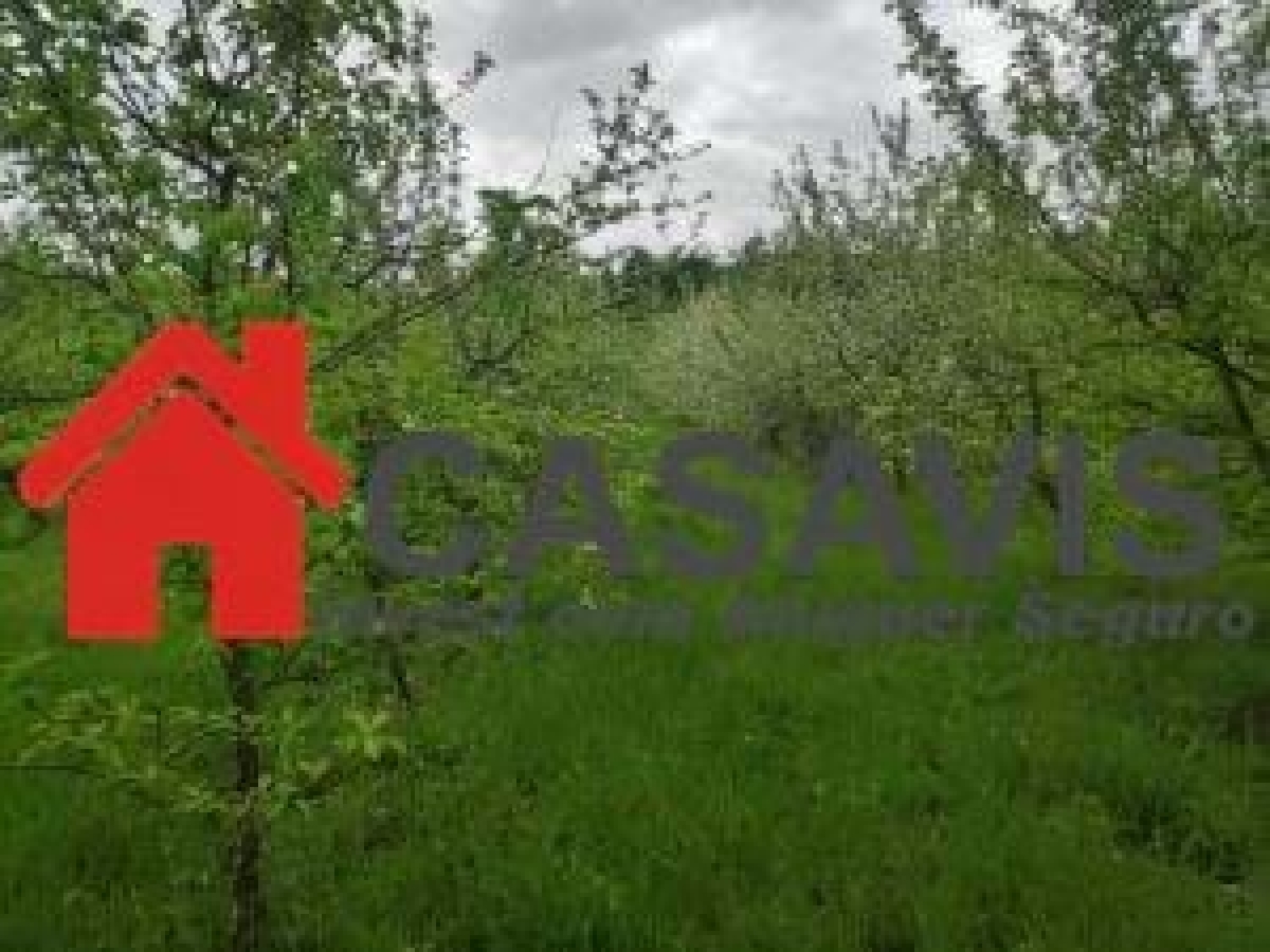  for sale house Viseu Viseu 7