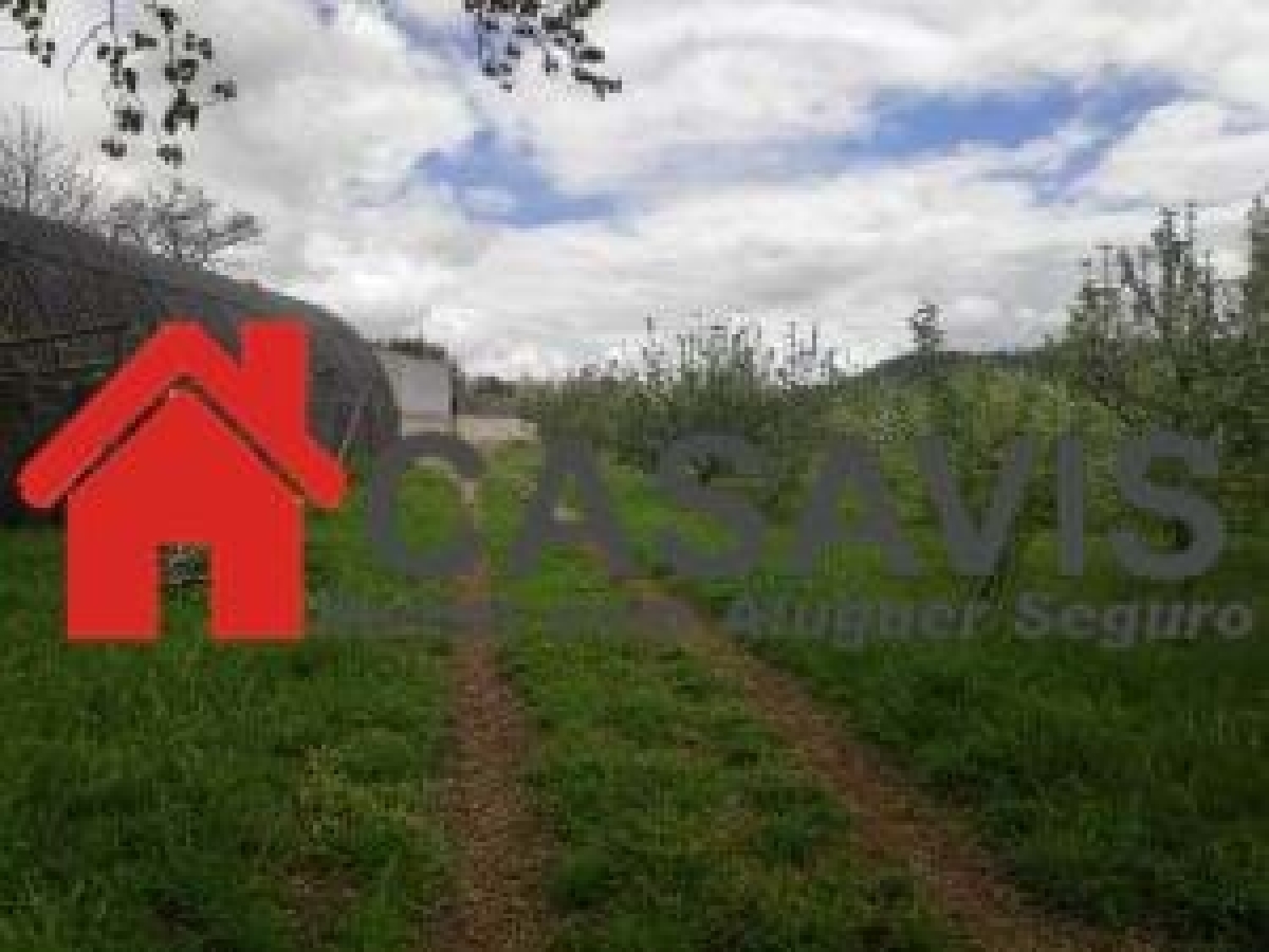  for sale house Viseu Viseu 8