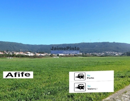 Afife Viana Do Castelo terrein foto 335947