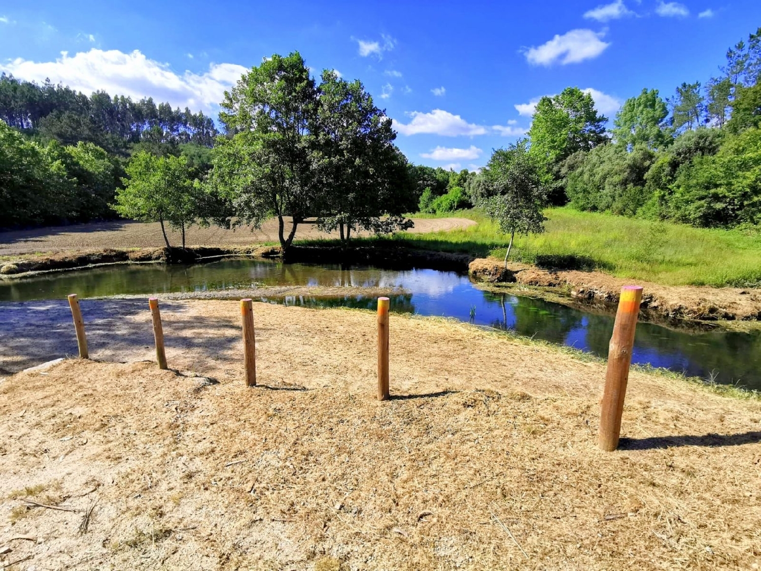  for sale terrain Agilde Celorico De Basto 1