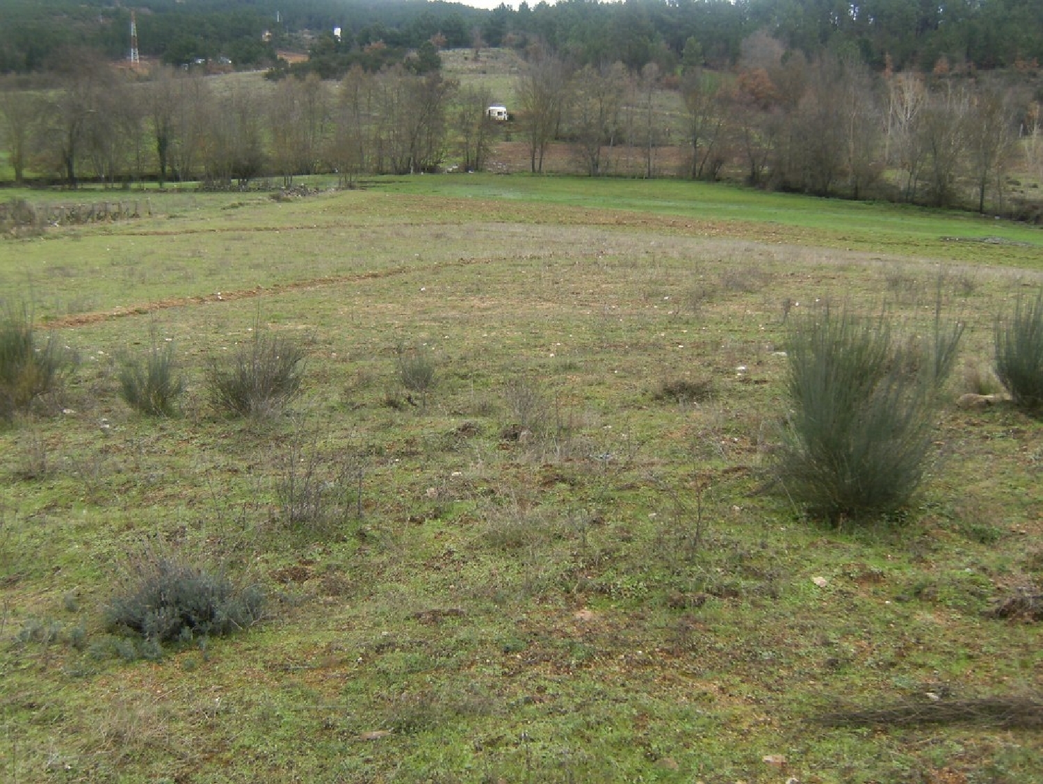  te koop terrein Agostem Chaves 1