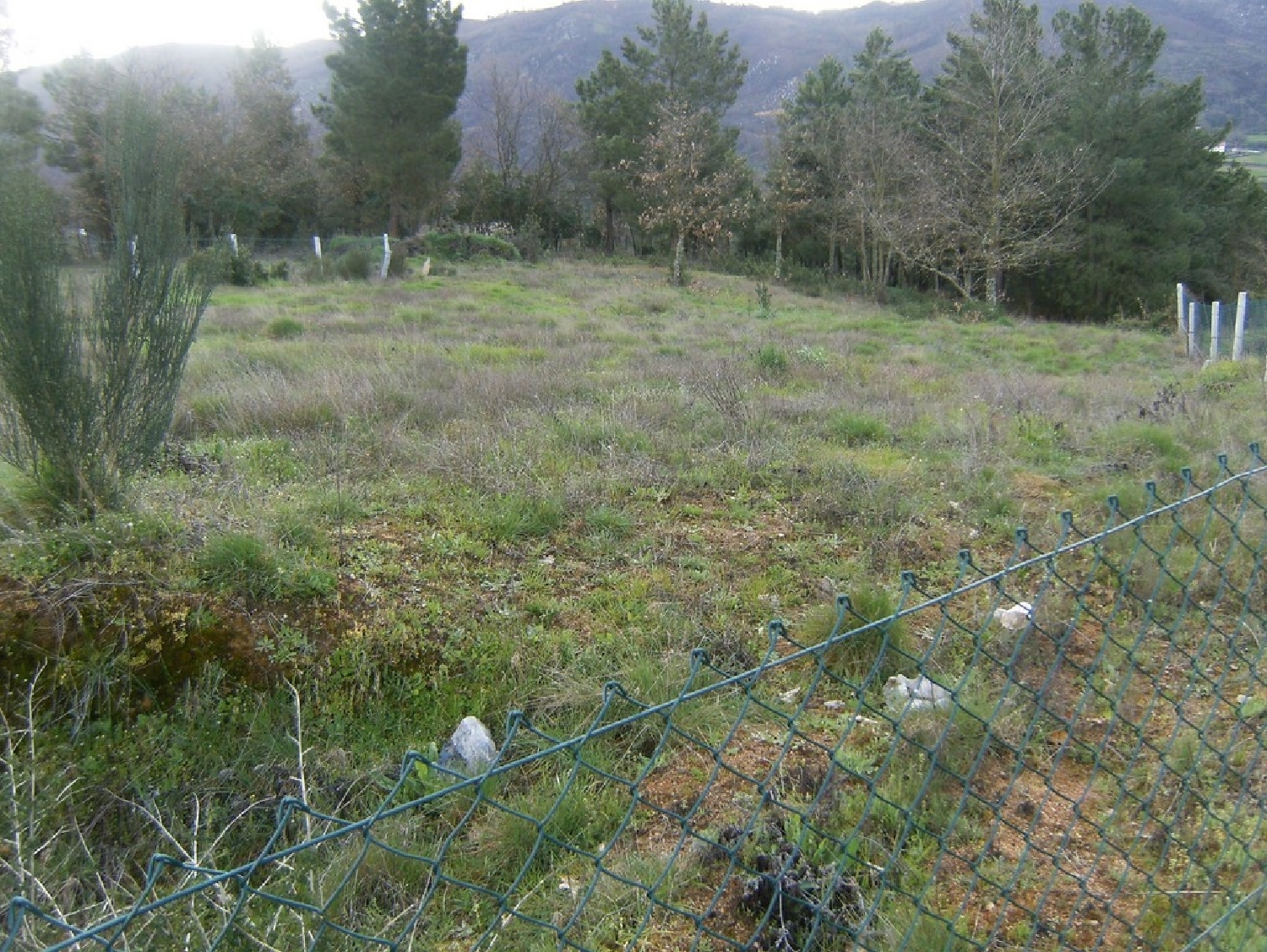 te koop terrein Agostem Chaves 2