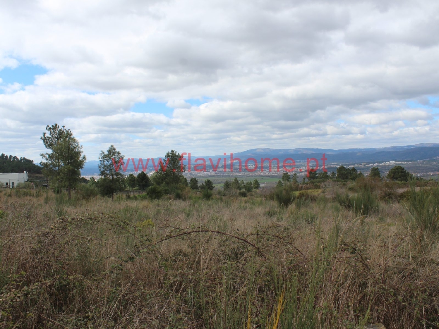  à vendre terrain Águas Frias Chaves 4