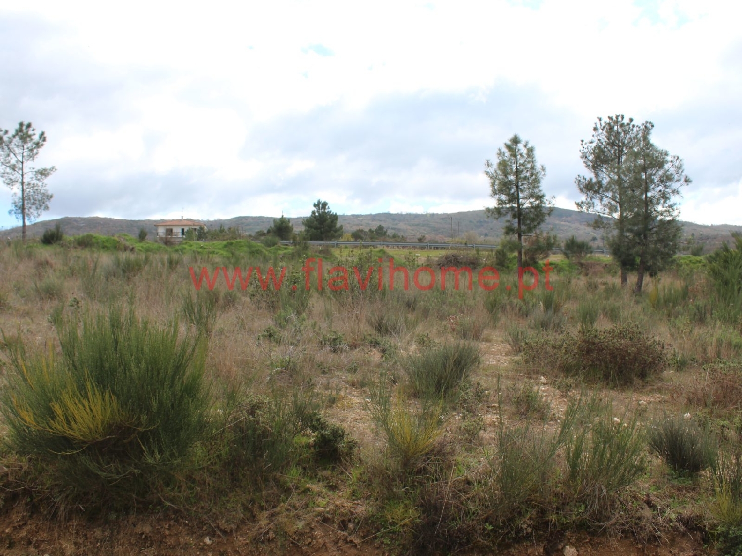  à vendre terrain Águas Frias Chaves 7