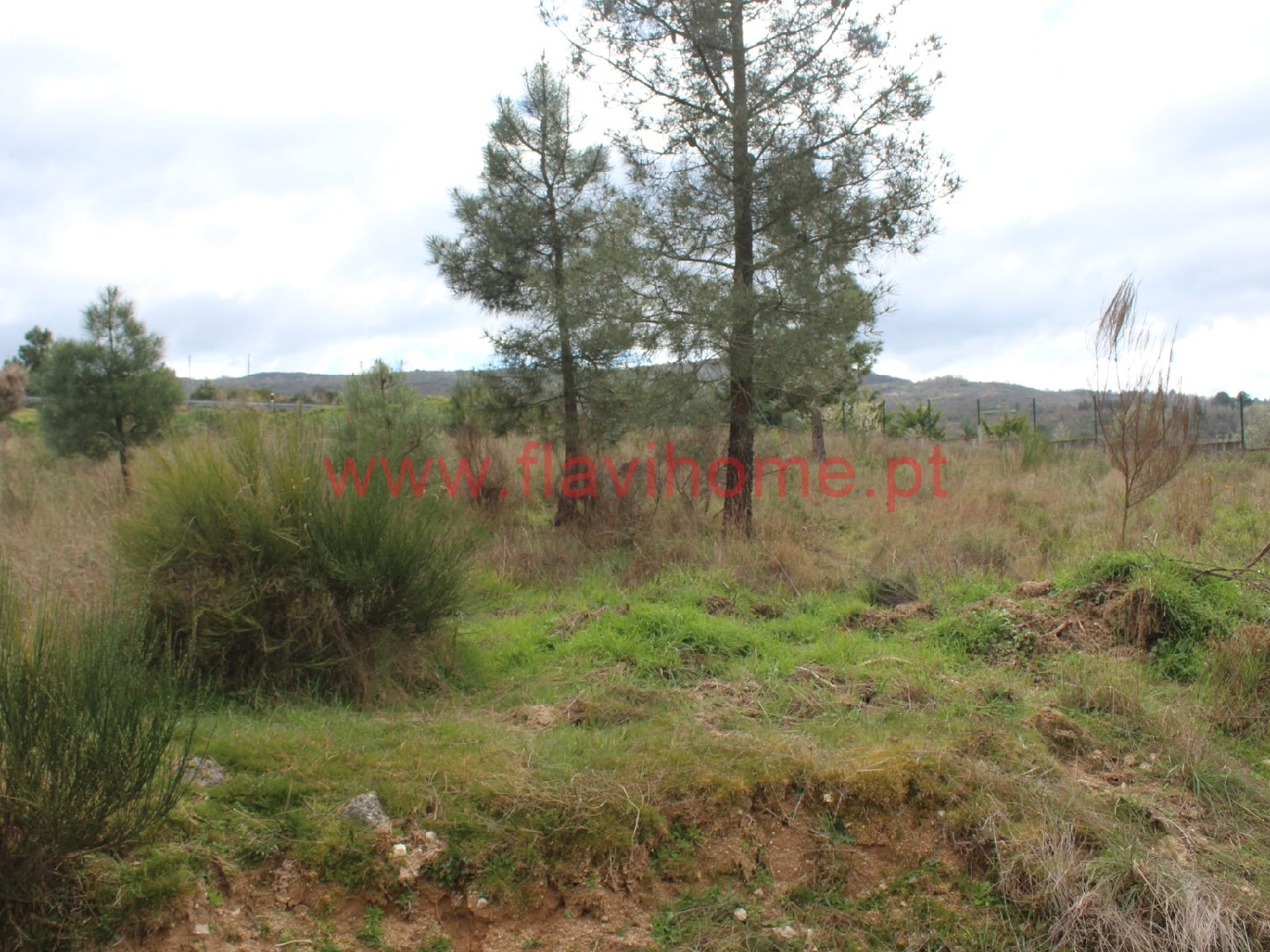  à vendre terrain Águas Frias Chaves 8