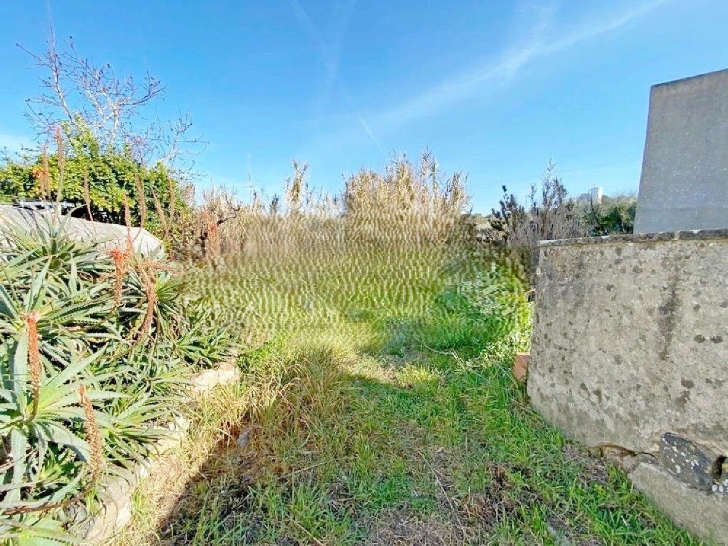 köpa tomt Almargem do Bispo Sintra 2