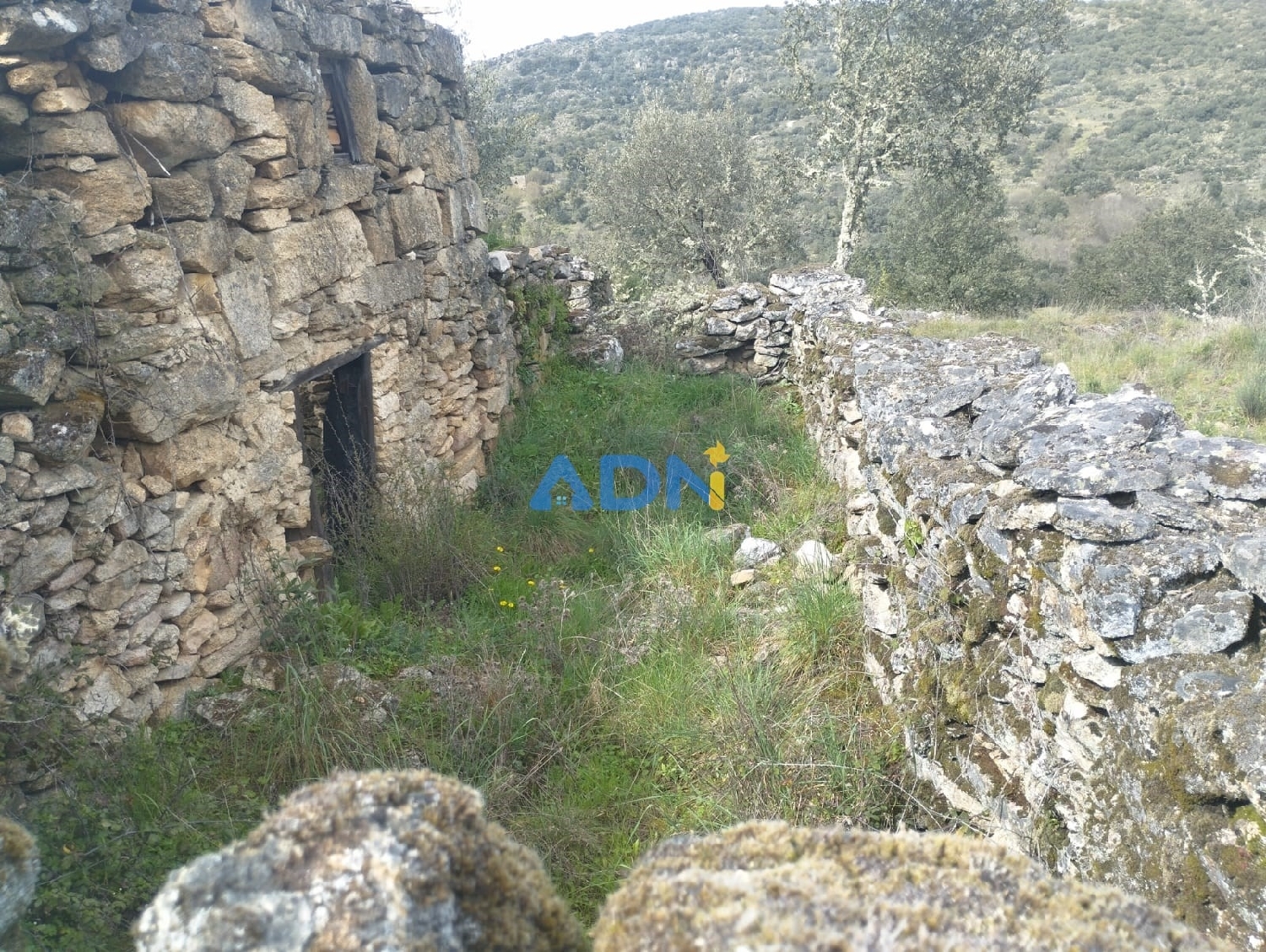  kaufen Grundstück Almeida Almeida 2