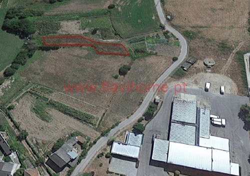 Anta Mondim De Basto terrein foto 334832