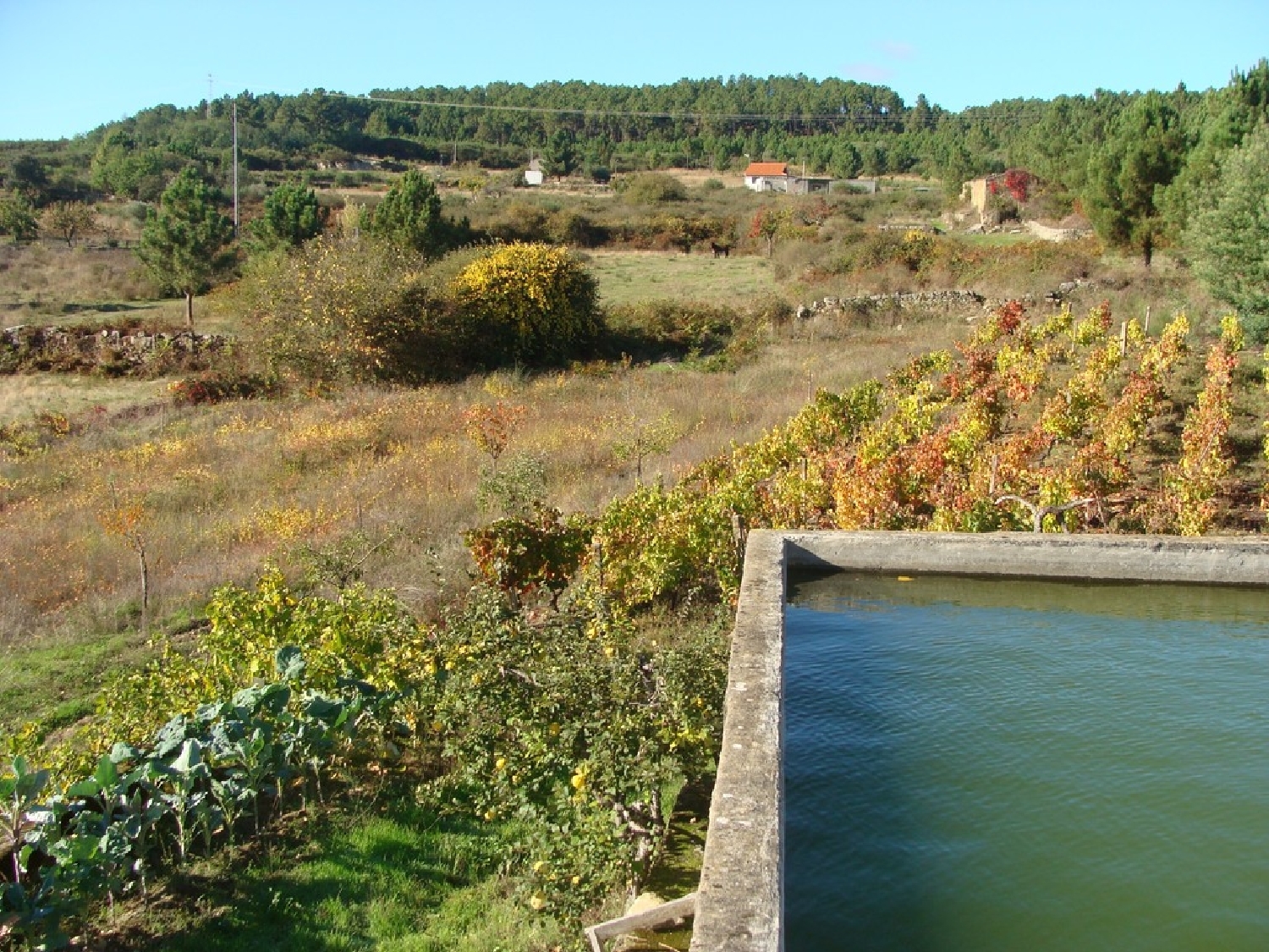  à vendre terrain Anta Mondim De Basto 1