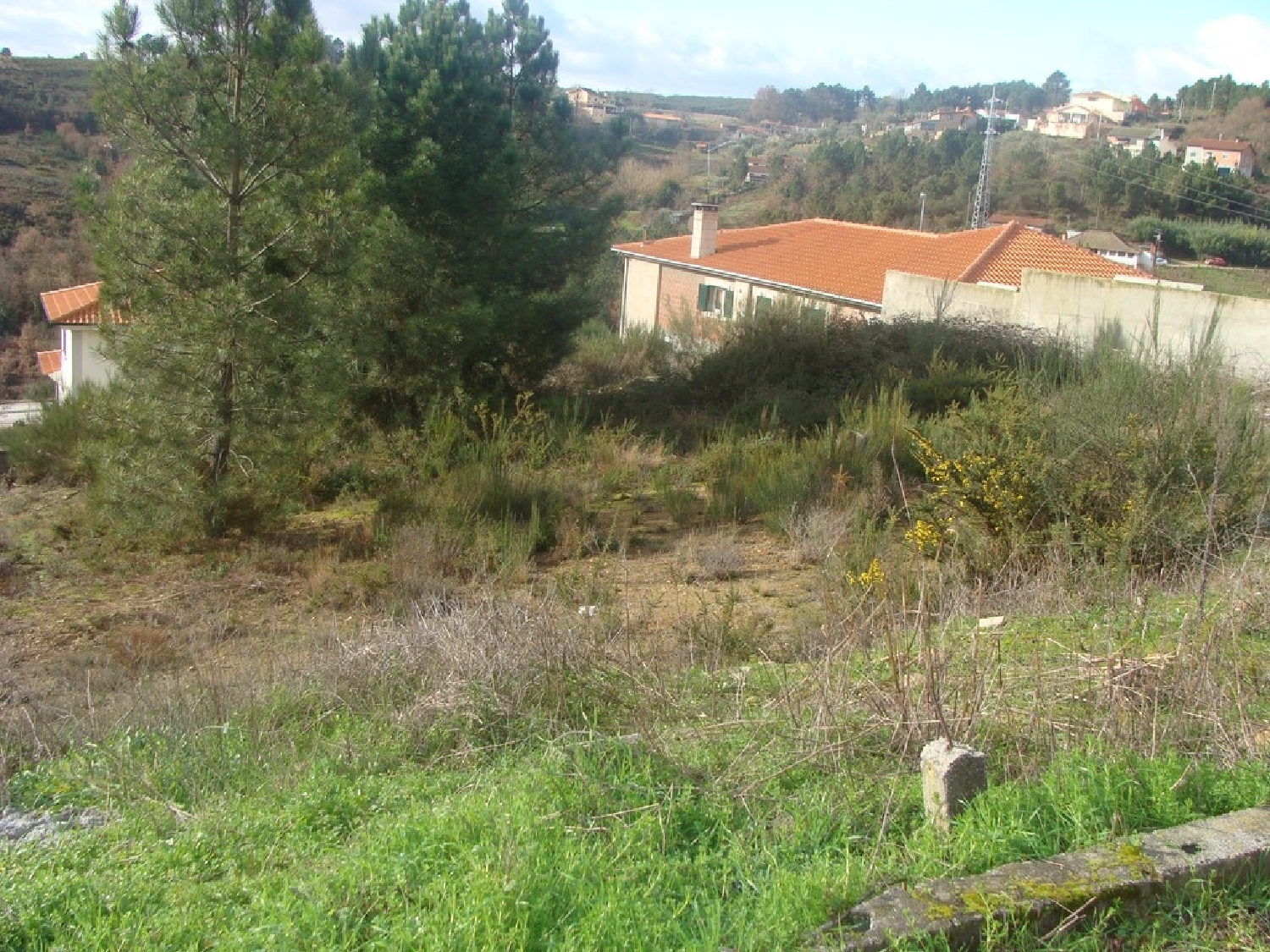  à vendre terrain Anta Mondim De Basto 3