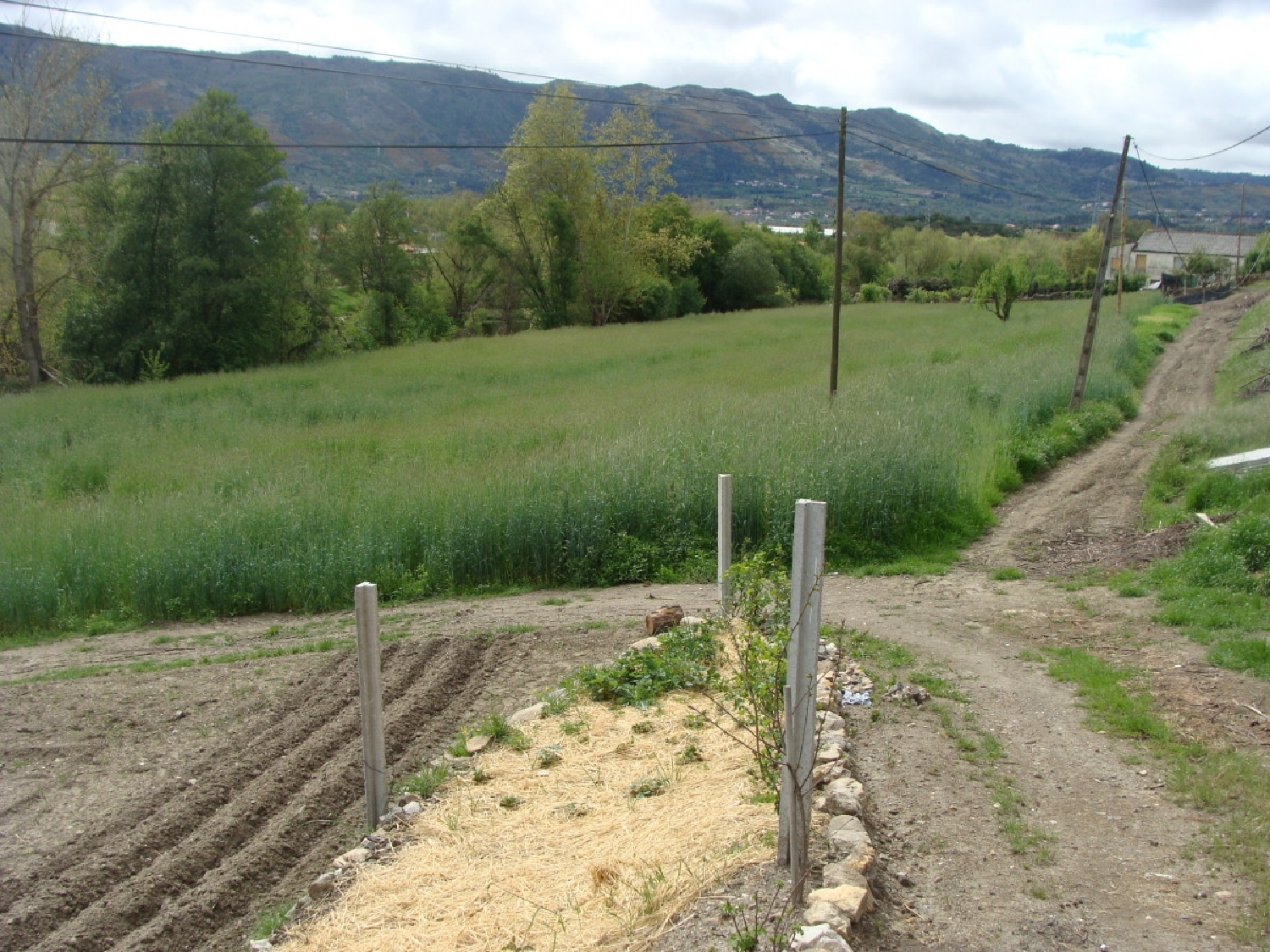  à vendre terrain Anta Mondim De Basto 1