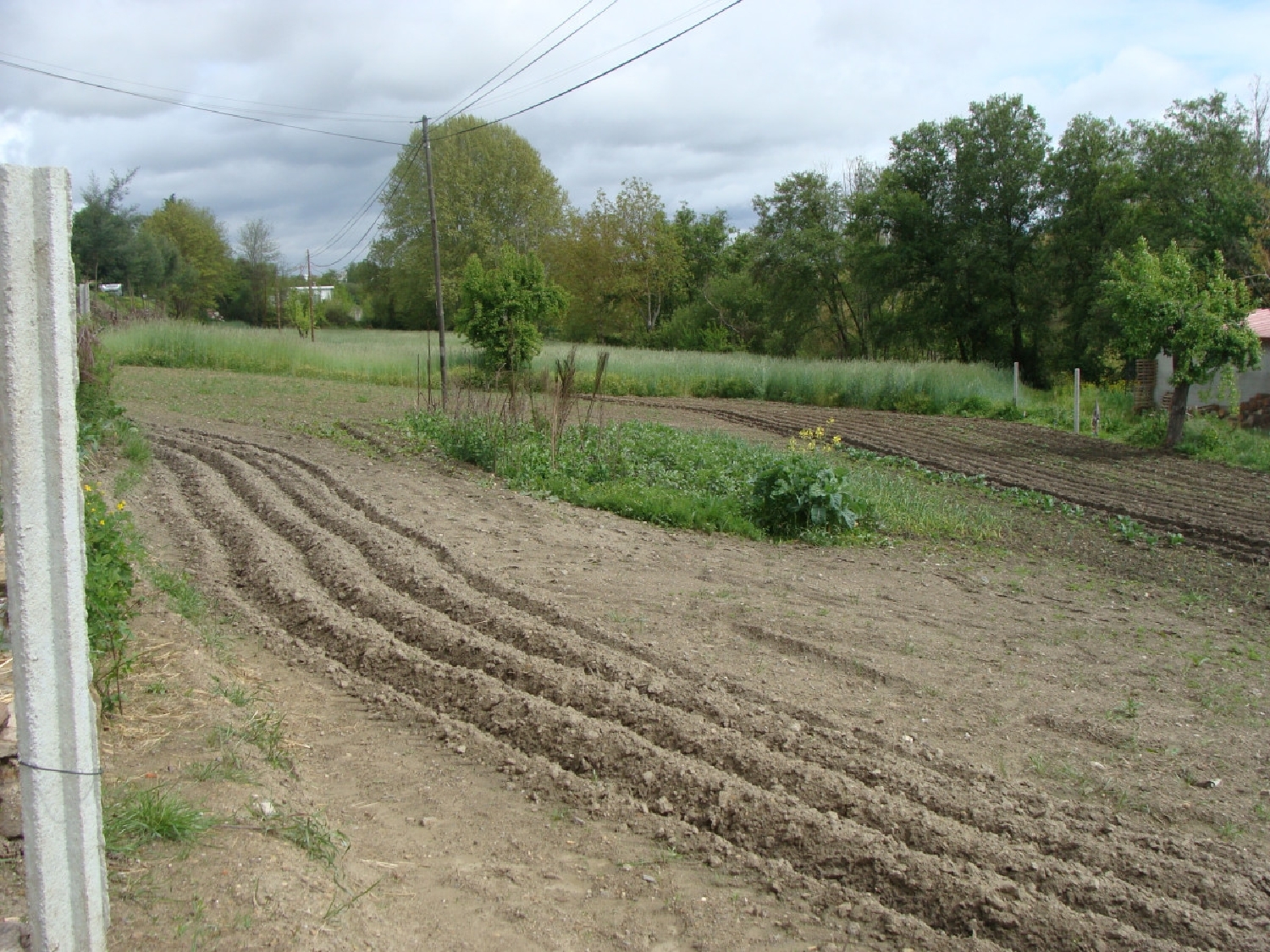 à vendre terrain Anta Mondim De Basto 2