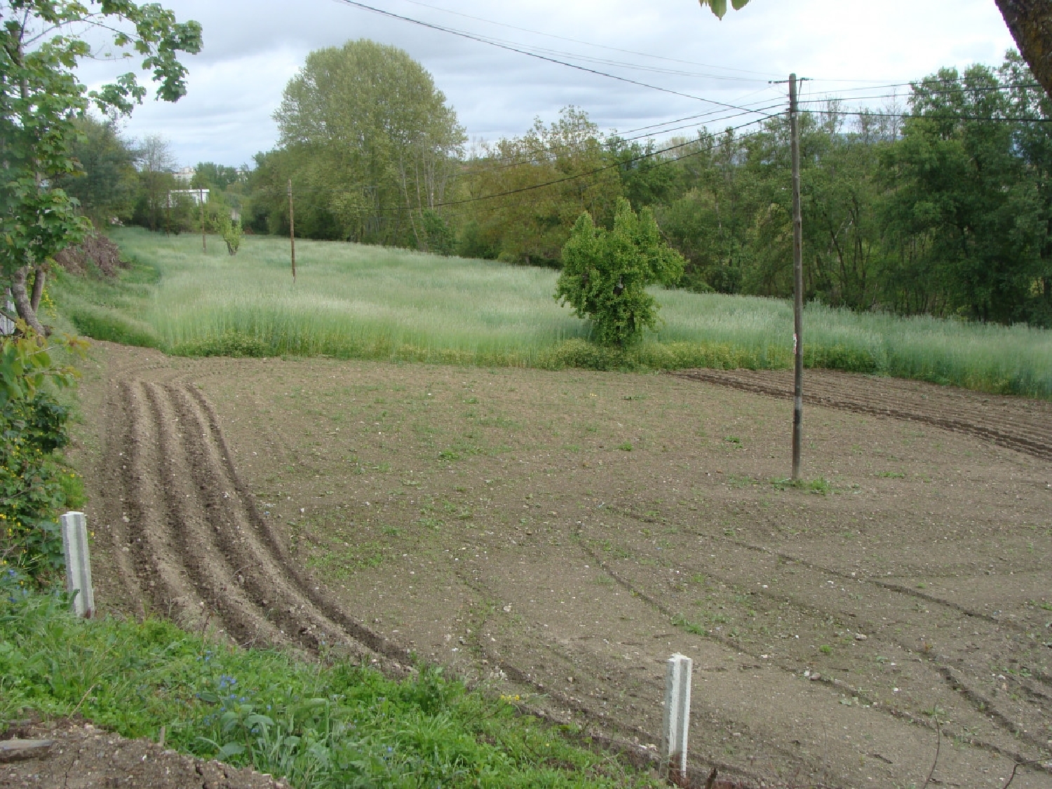  à vendre terrain Anta Mondim De Basto 4
