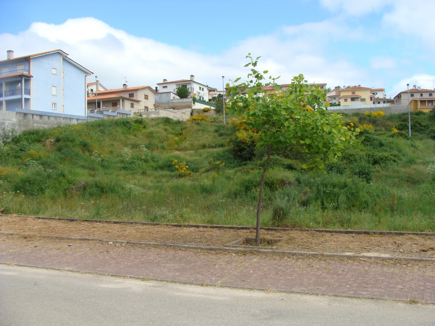  à vendre terrain Anta Mondim De Basto 1