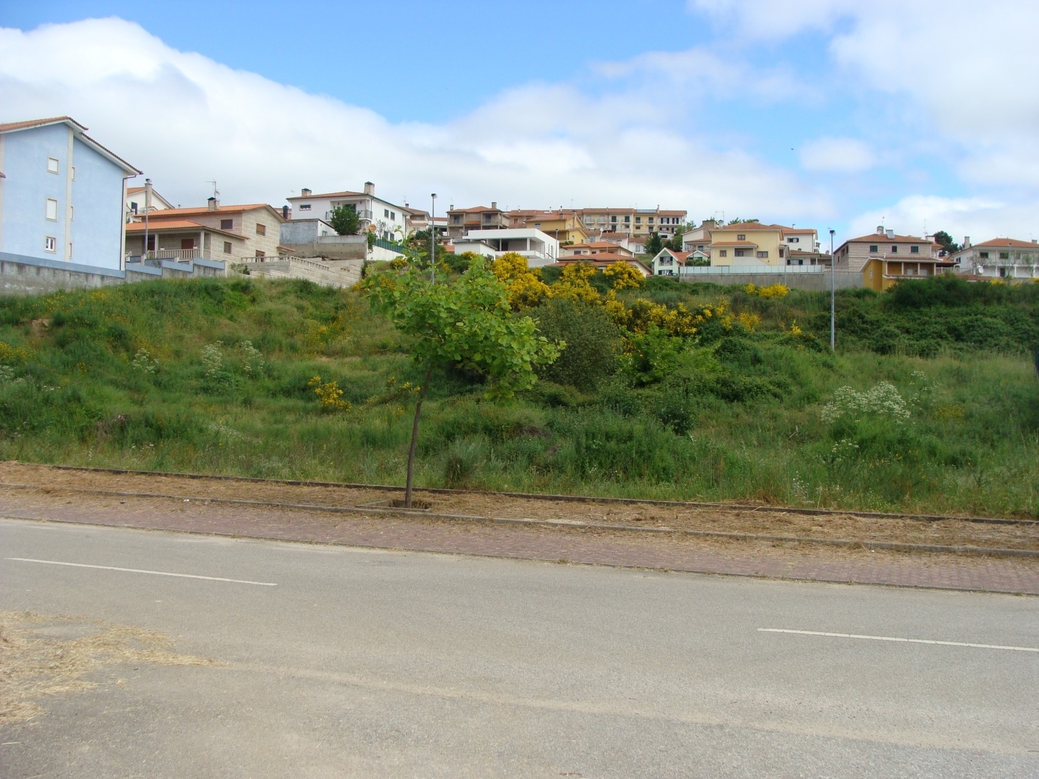 à vendre terrain Anta Mondim De Basto 2