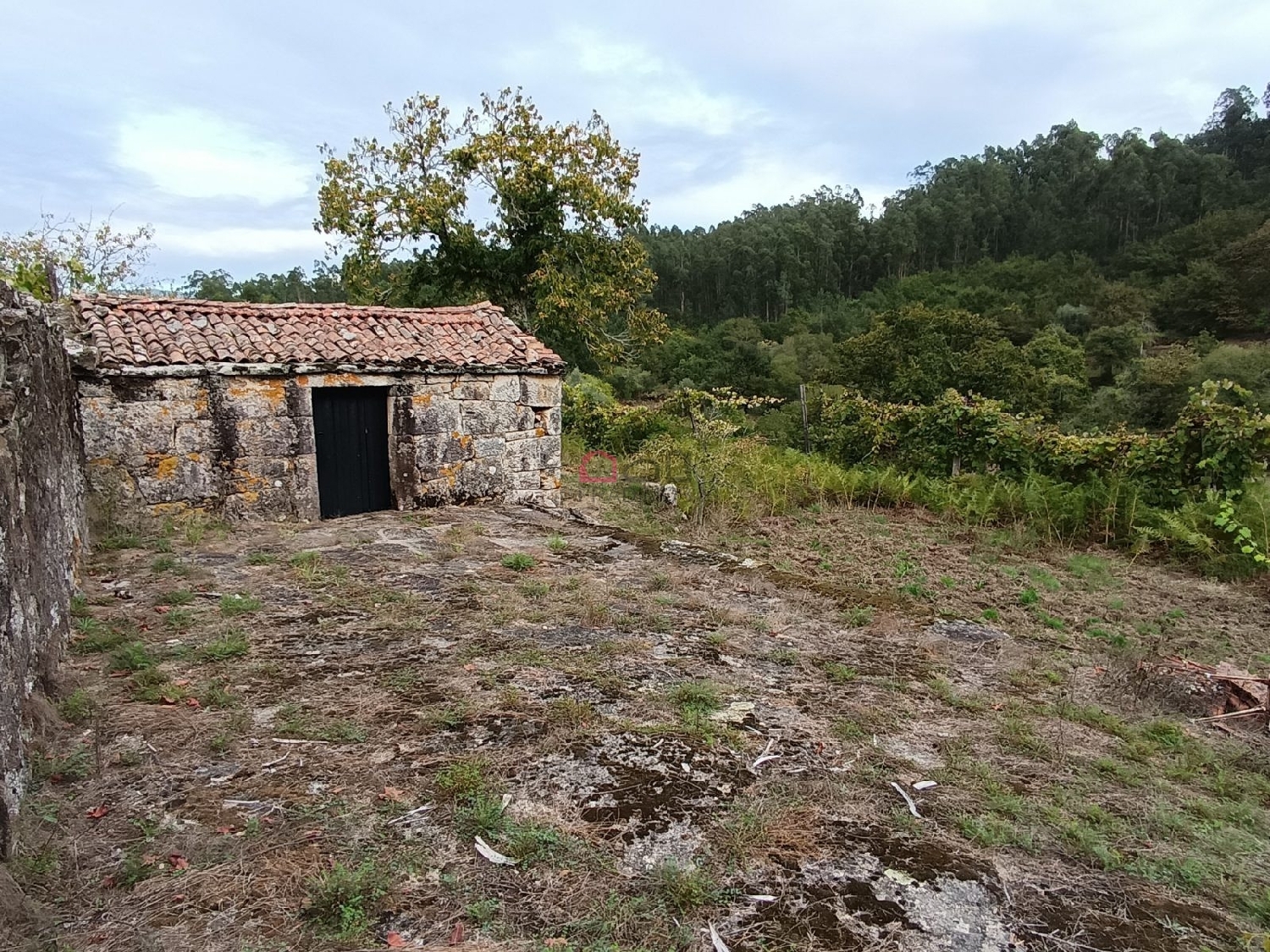  kaufen Grundstück Arcozelo das Maias Oliveira De Frades 5