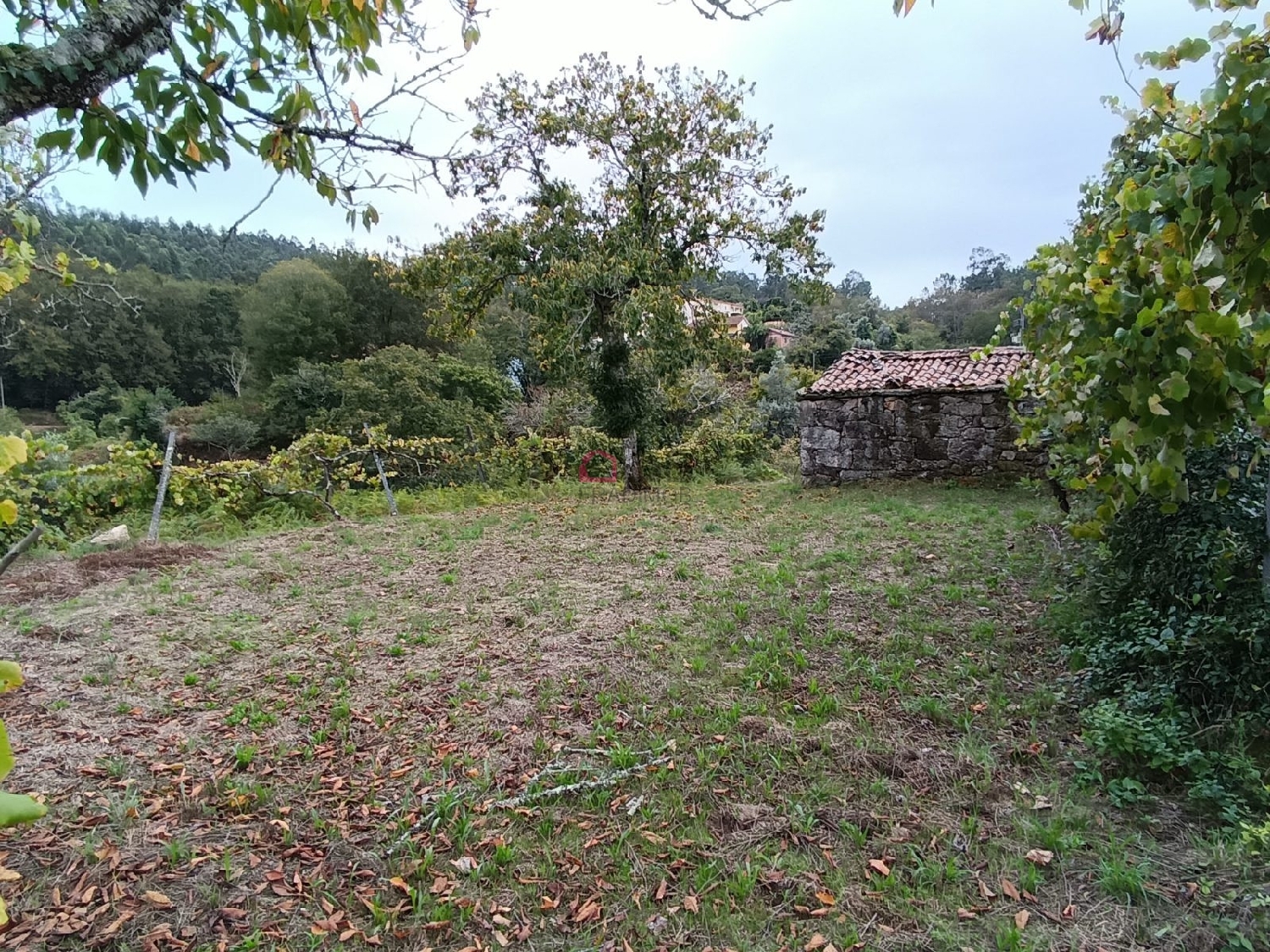  kaufen Grundstück Arcozelo das Maias Oliveira De Frades 7