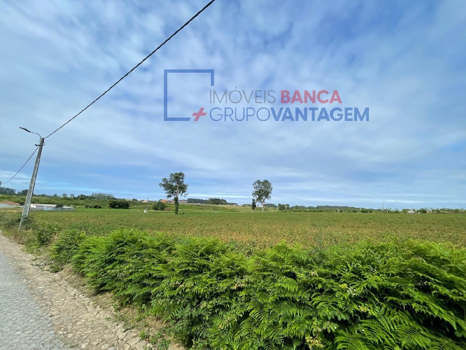  for sale terrain Aveleda Vila Do Conde 1