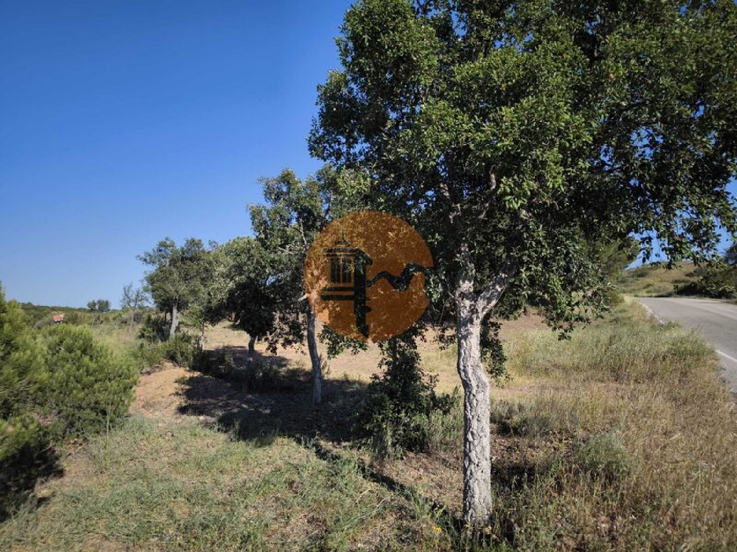  kaufen Grundstück Azinhal Albufeira 1