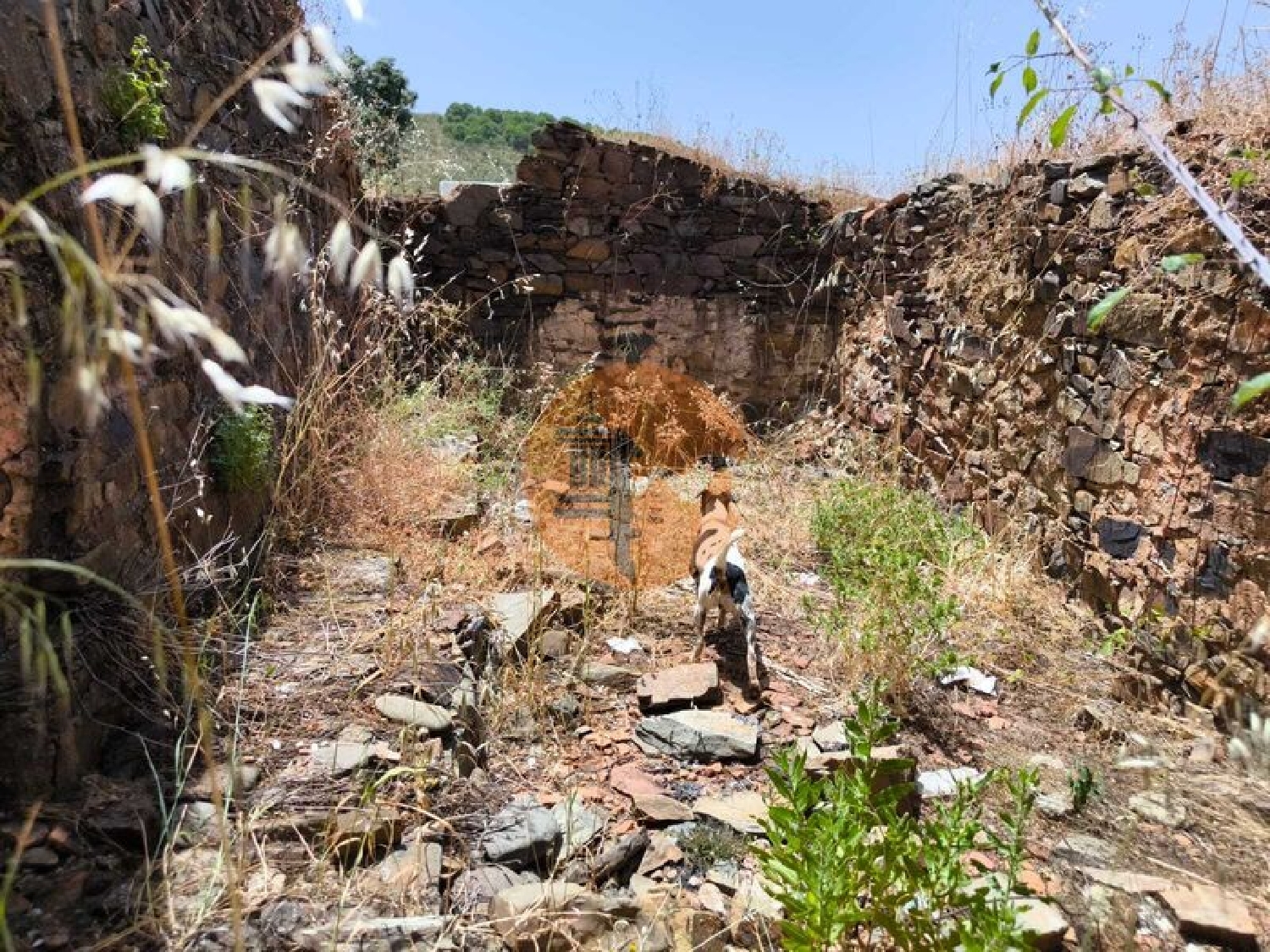  for sale terrain Azinhal Albufeira 3
