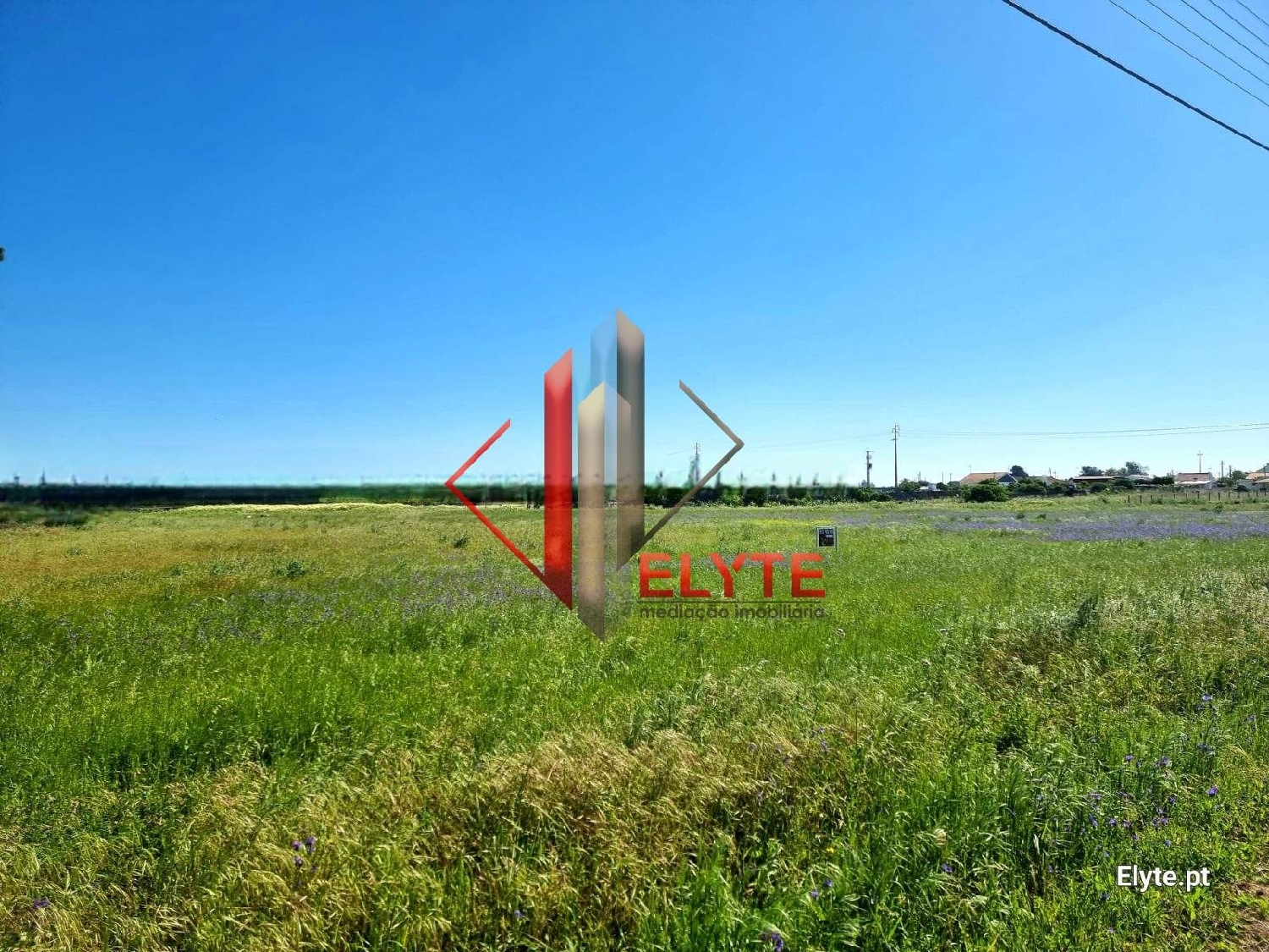 for sale terrain Benavente Benavente 2