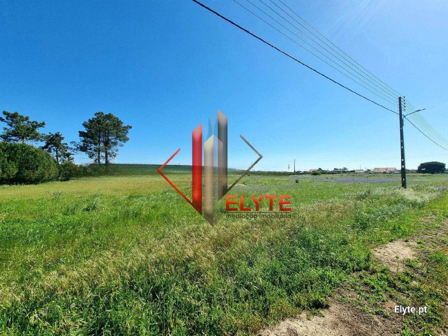  for sale terrain Benavente Benavente 4