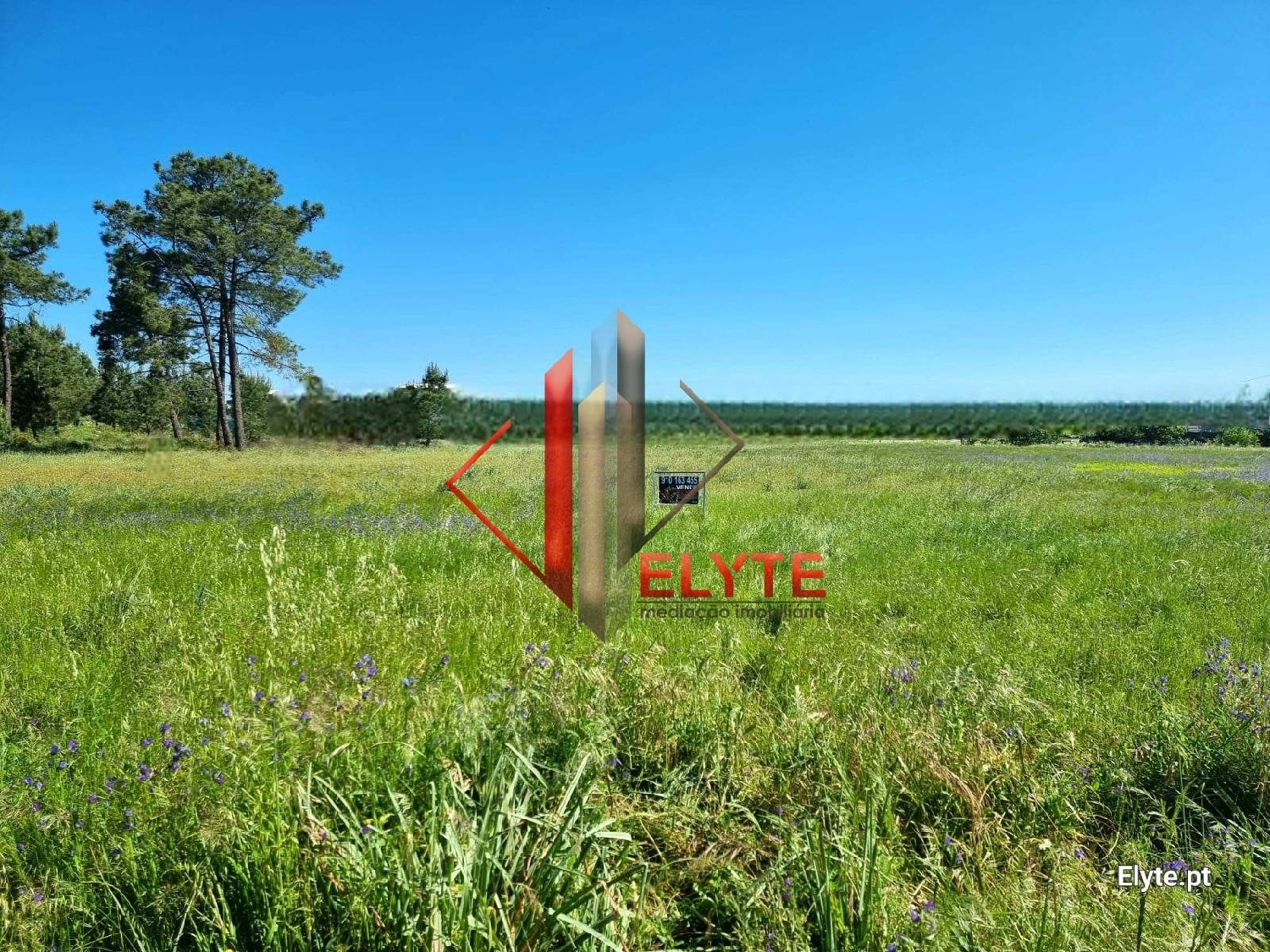  for sale terrain Benavente Benavente 6