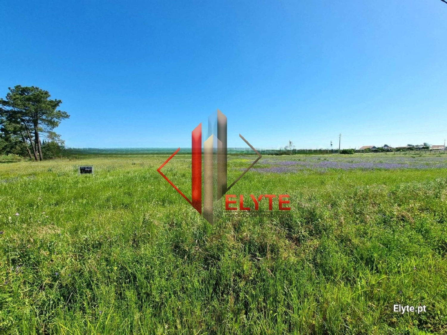  for sale terrain Benavente Benavente 7